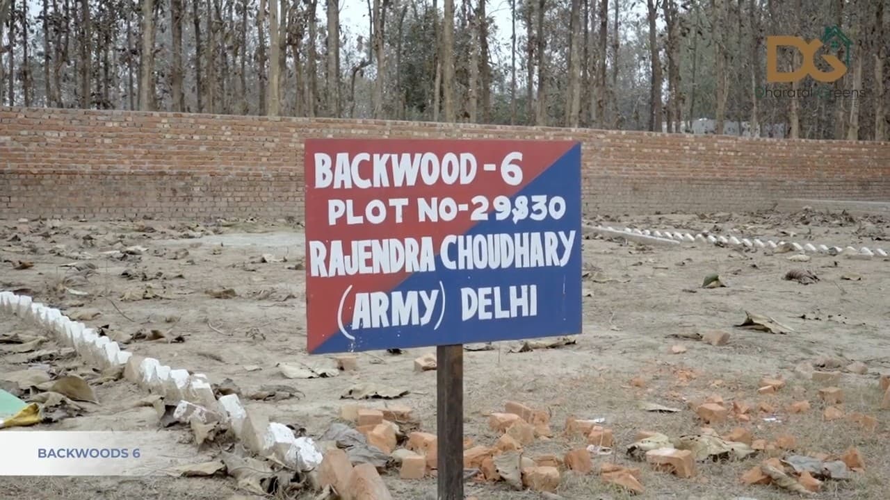 Backwoods 6 road and plots