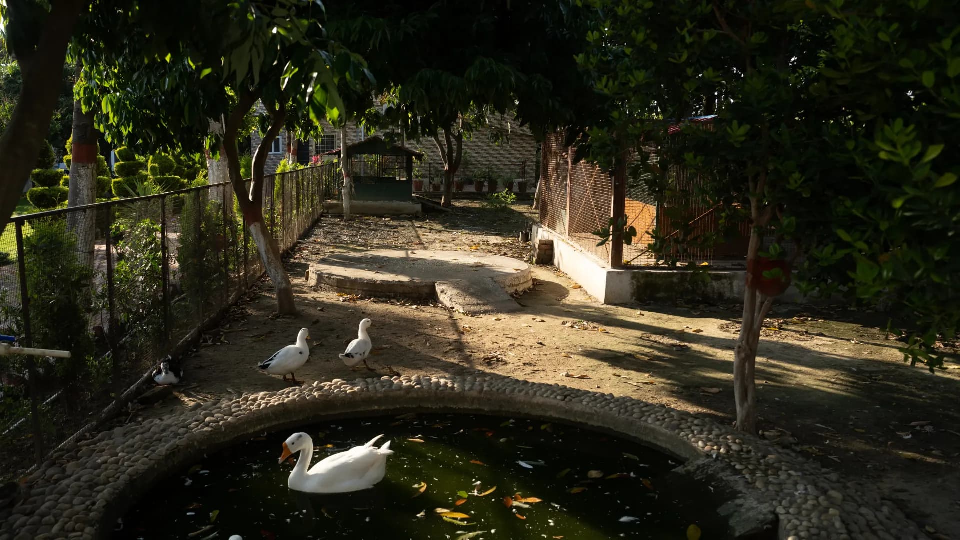 SRS Farm House community space