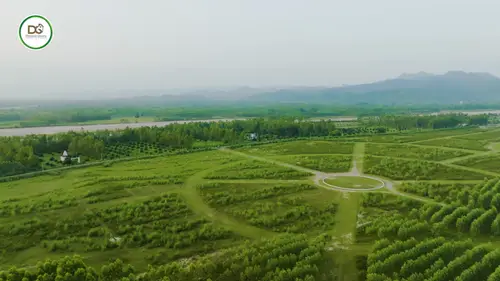 Residential Plots