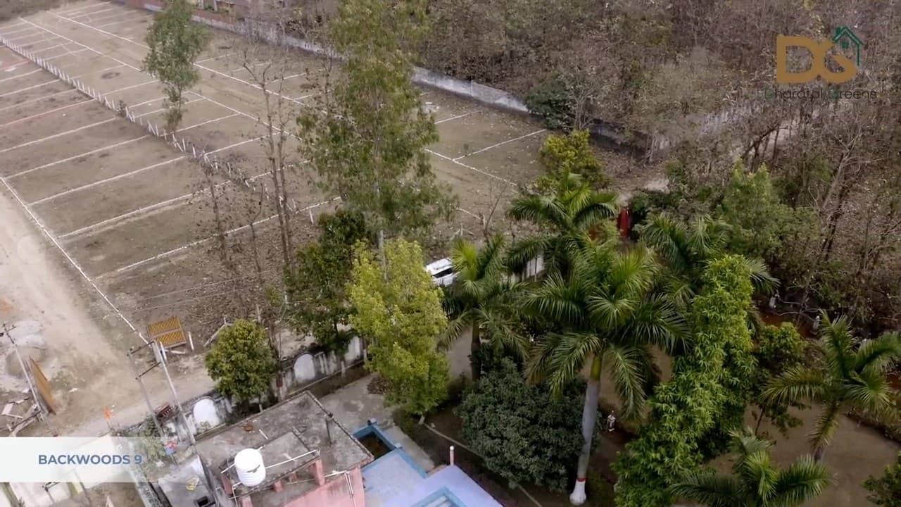 Backwoods 9